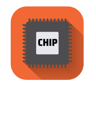 Chip